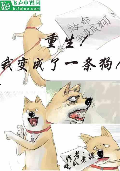 吃瓜打架小说免费阅读,一场吃瓜者的热血较量