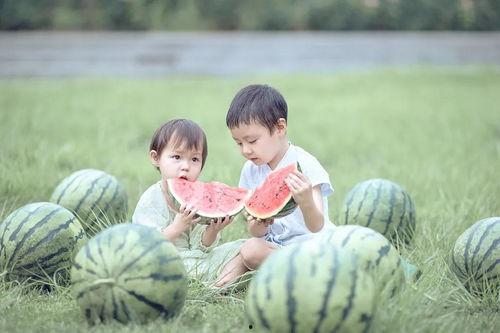 吃瓜娃娃的比拼,萌宠界的美食盛宴
