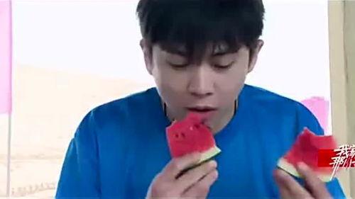 吃瓜武艺,揭秘娱乐圈的“瓜田”奇遇记