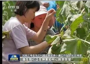 张庄吃瓜新闻事件